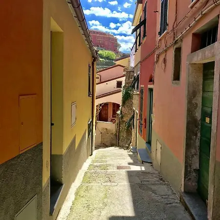 Willy's Сasa de vacaciones