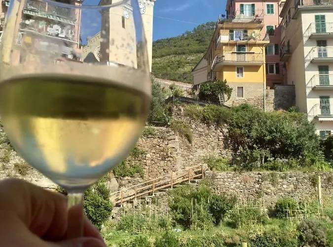 Willy's Vakantiehuis