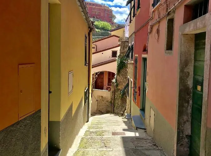 Willy's Vakantiehuis