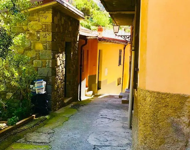 Vakantiehuis Willy's *