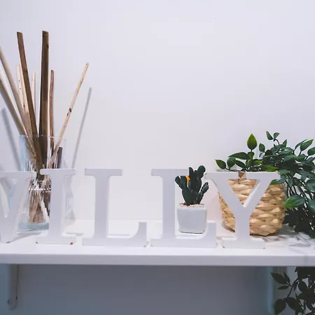 Willy's Σπίτι διακοπών *