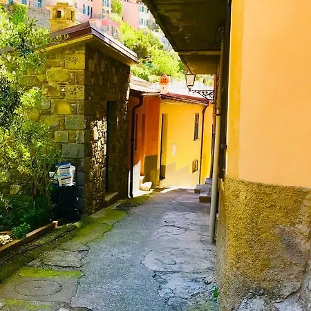 Holiday home Willy's *