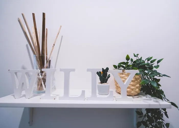Willy's Tatil Evi *